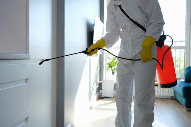 Best DIY Mold Remediation Support Services in Robinson, TX