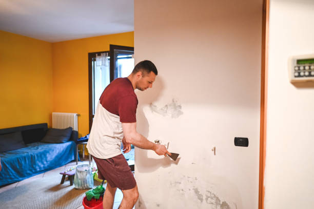 Robinson, TX Mold Remediation Company